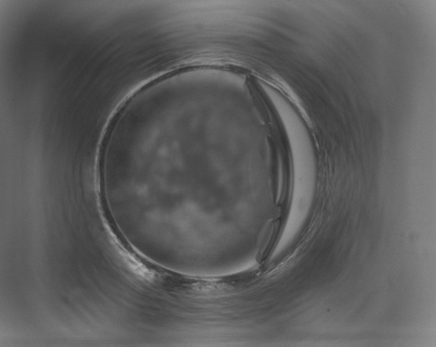 X0000074040795200608211517