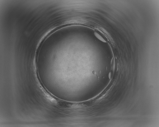 X0000074040796200608211517