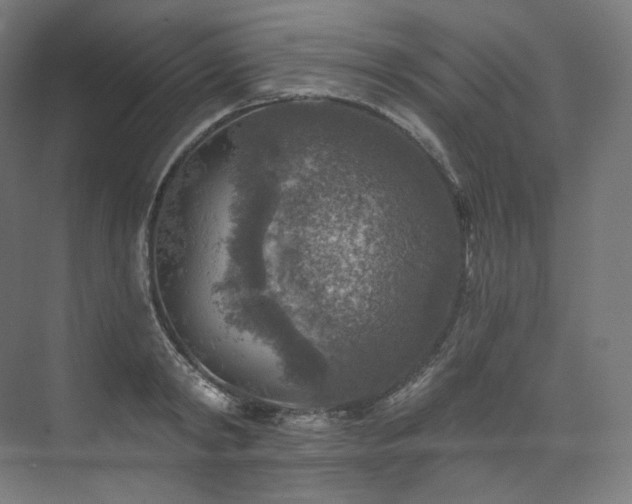 X0000074040798200608211517