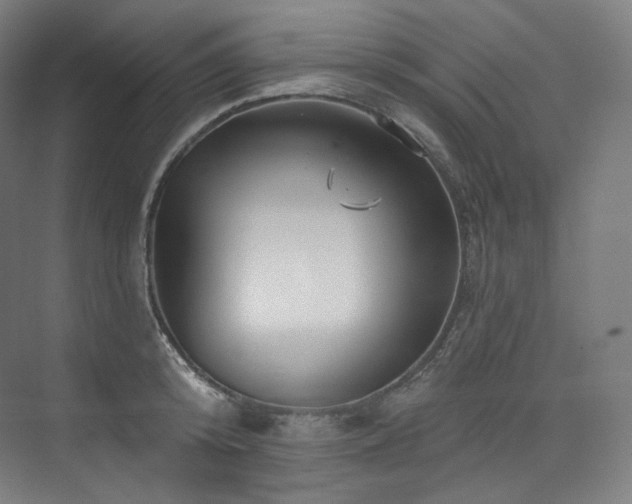 X0000074040800200608211517