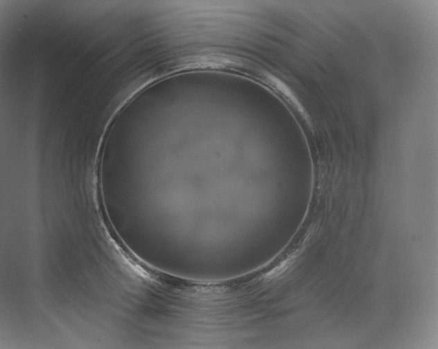 X0000074040802200608211517