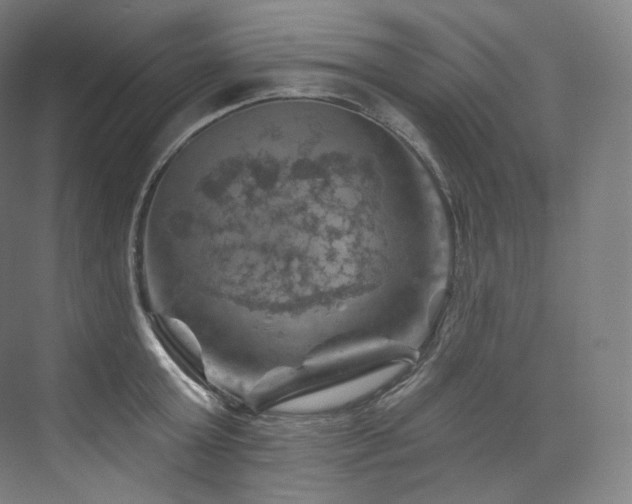 X0000074040803200608211517