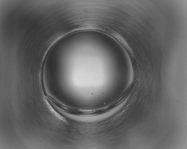 X0000074040805200608211517