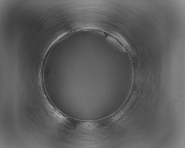 X0000074040806200608211517