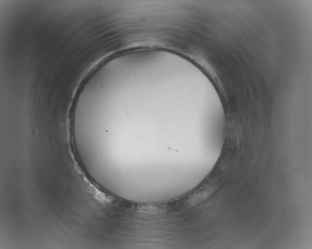 X0000074040807200608211517