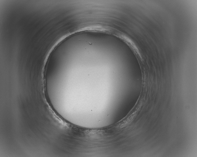 X0000074040808200608211517