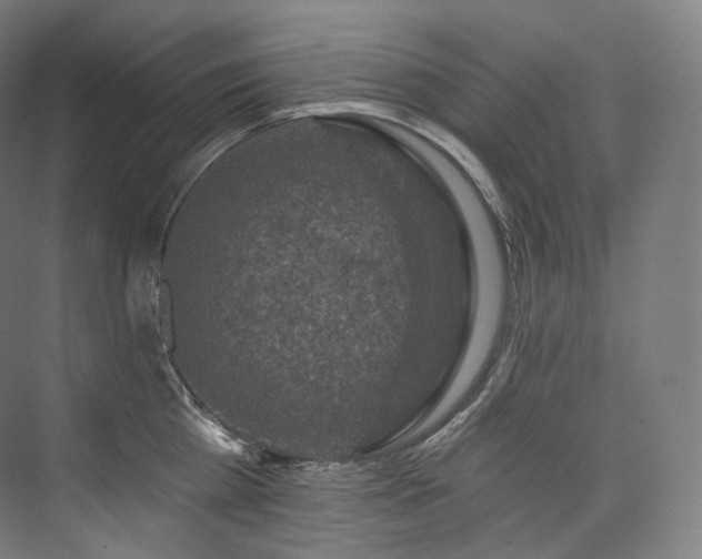 X0000074040809200608211517