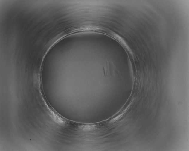 X0000074040810200608211517