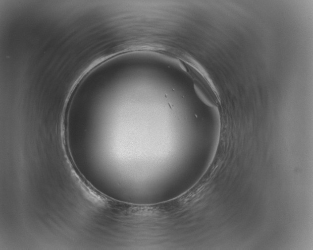 X0000074040811200608211517