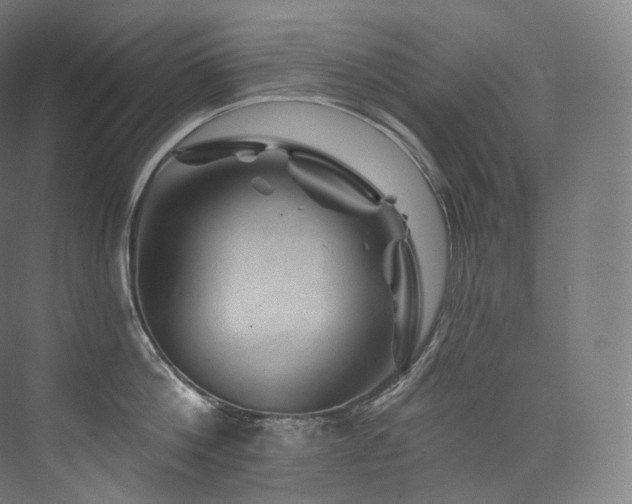 X0000074040812200608211517