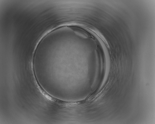 X0000074040813200608211517