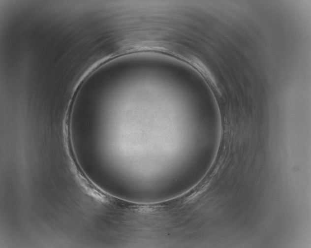 X0000074040814200608211517