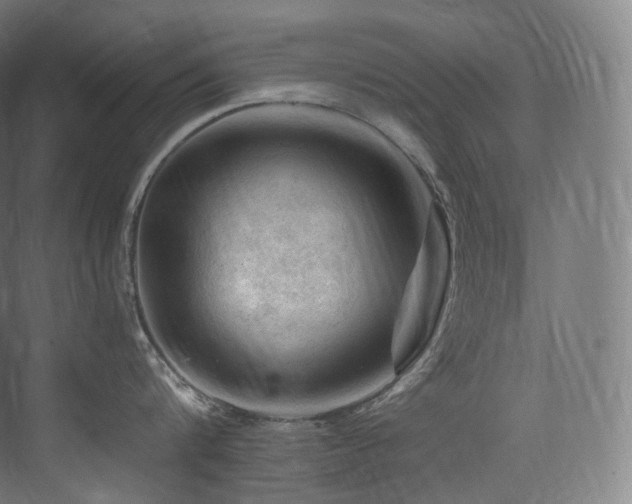 X0000074040816200608211517