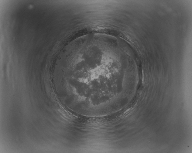 X0000074040817200608211516