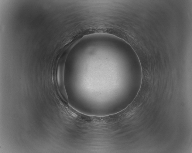 X0000074040818200608211516