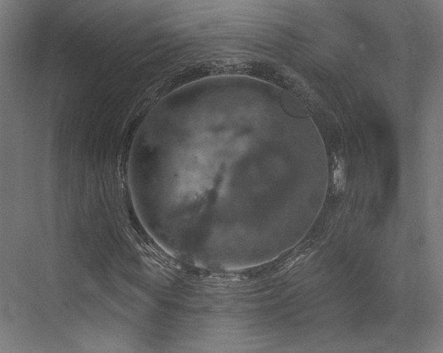 X0000074040819200608211516