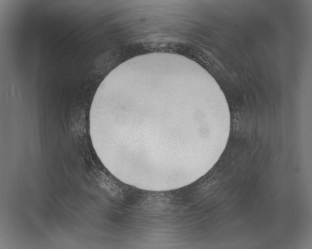 X0000074040820200608211516