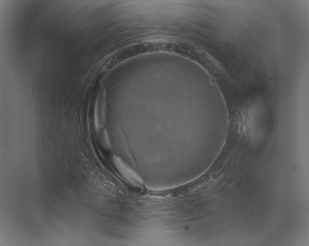 X0000074040821200608211516