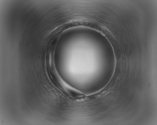 X0000074040822200608211516