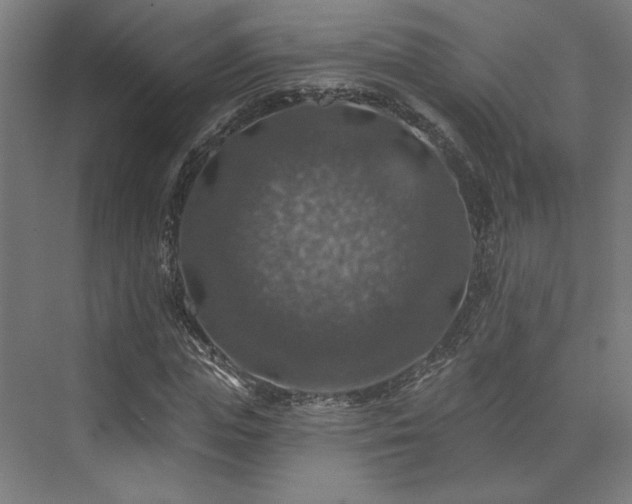 X0000074040823200608211516