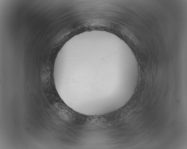 X0000074040824200608211516