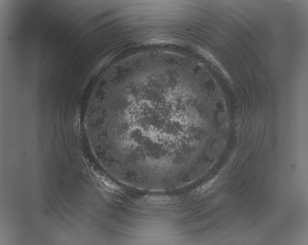 X0000074040825200608211516