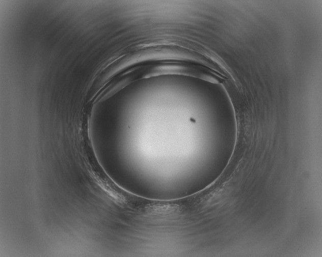 X0000074040826200608211516