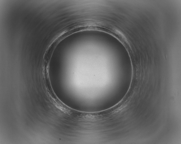 X0000074040827200608211516