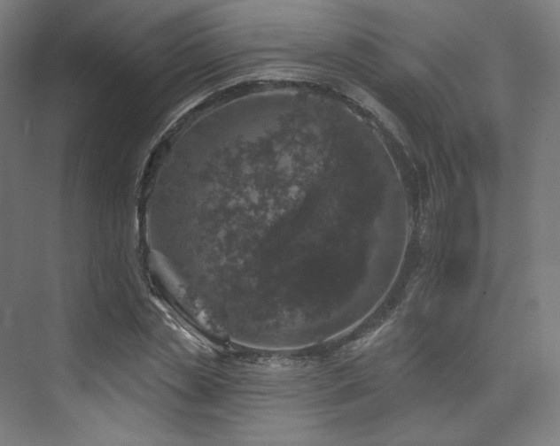 X0000074040829200608211516