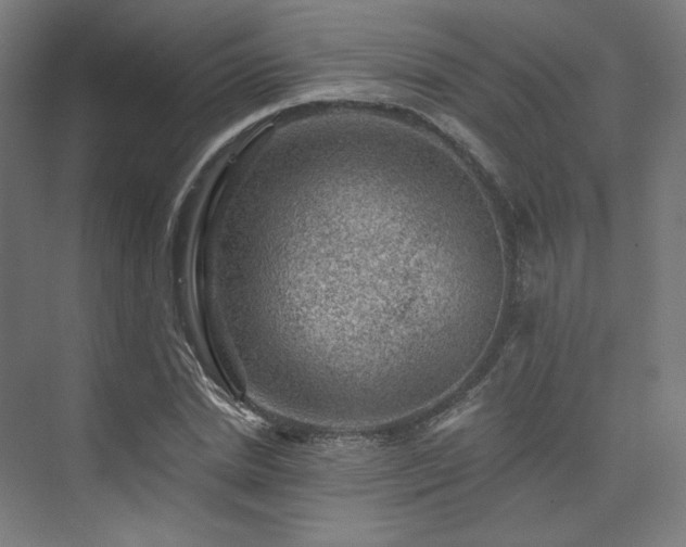 X0000074040830200608211516