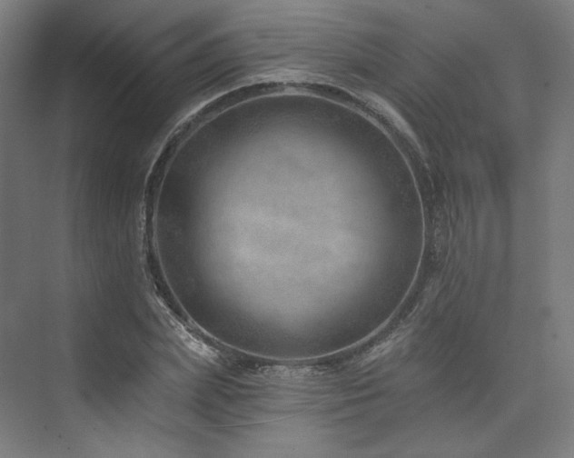 X0000074040831200608211516