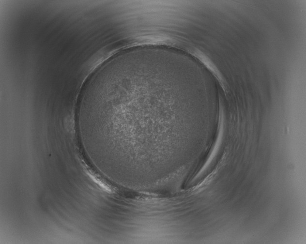 X0000074040834200608211516