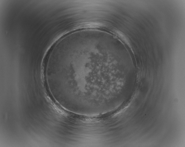 X0000074040835200608211516