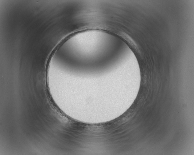 X0000074040836200608211516