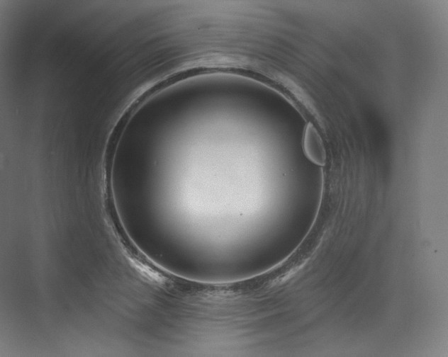 X0000074040837200608211516