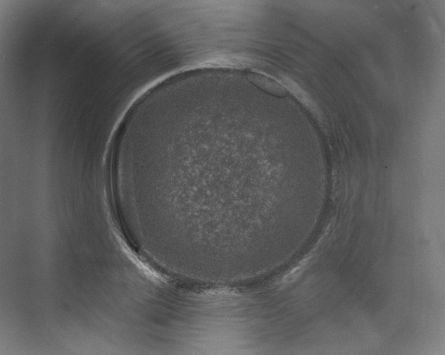 X0000074040838200608211516