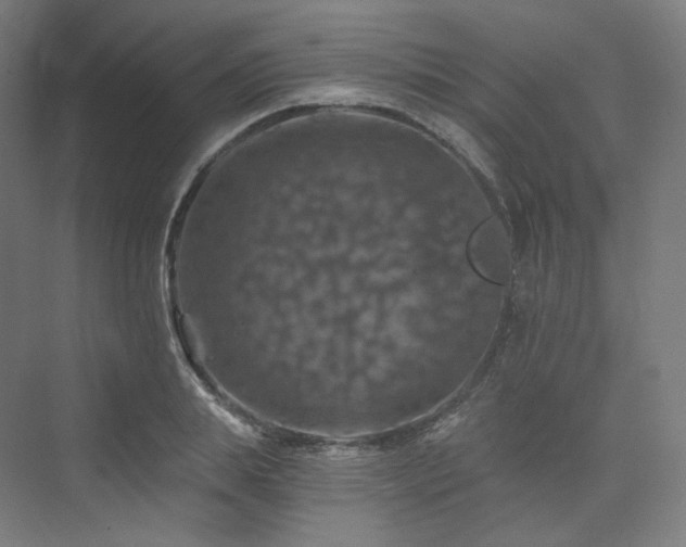 X0000074040839200608211516