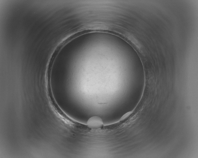 X0000074040840200608211516