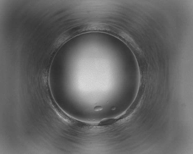 X0000074040841200608211516