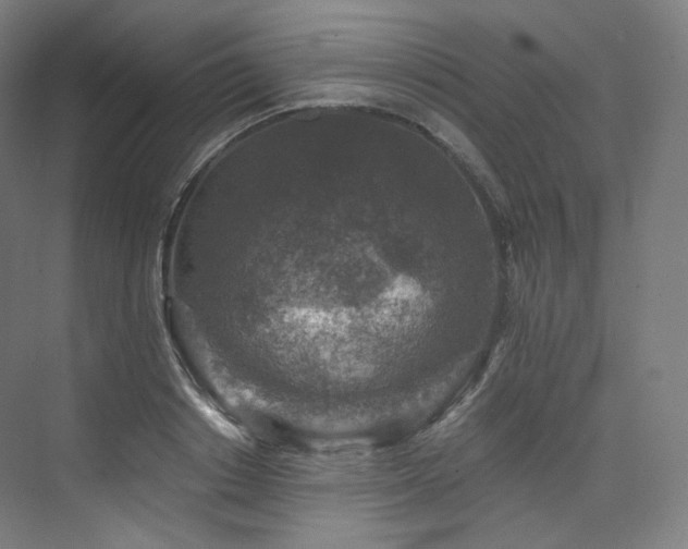 X0000074040842200608211516