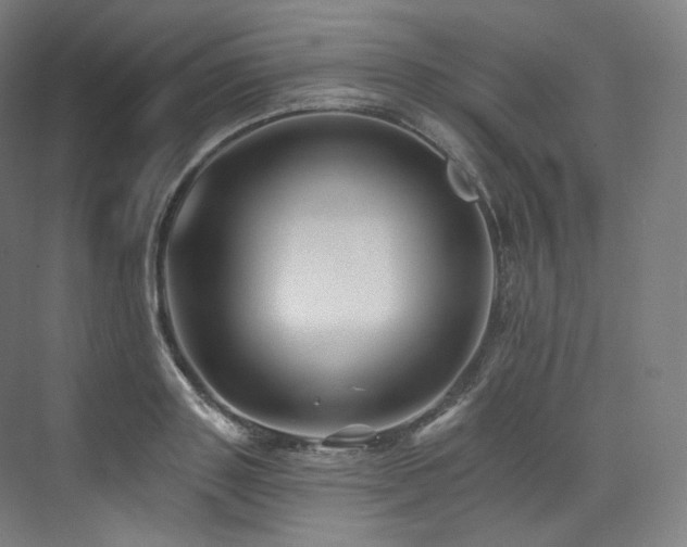 X0000074040843200608211516