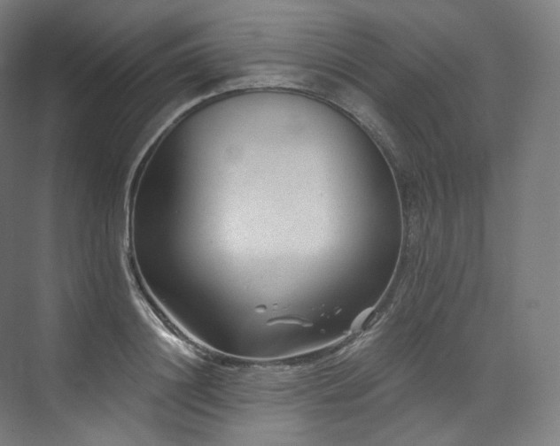 X0000074040844200608211516