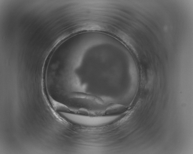 X0000074040845200608211516