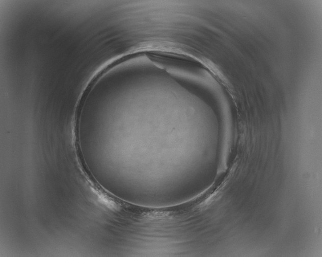 X0000074040846200608211516