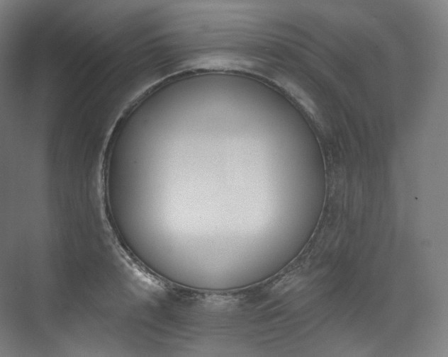 X0000074040848200608211516