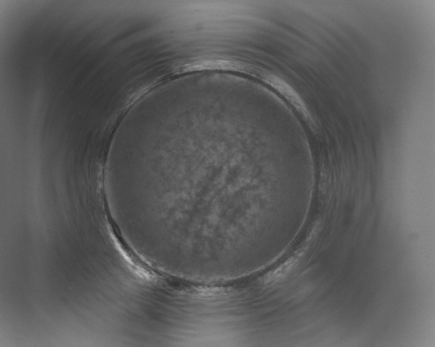 X0000074040849200608211516