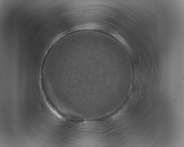 X0000074040850200608211516