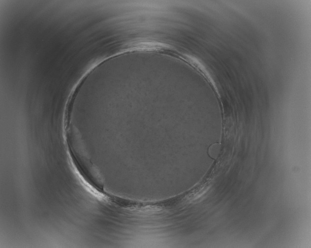 X0000074040851200608211516