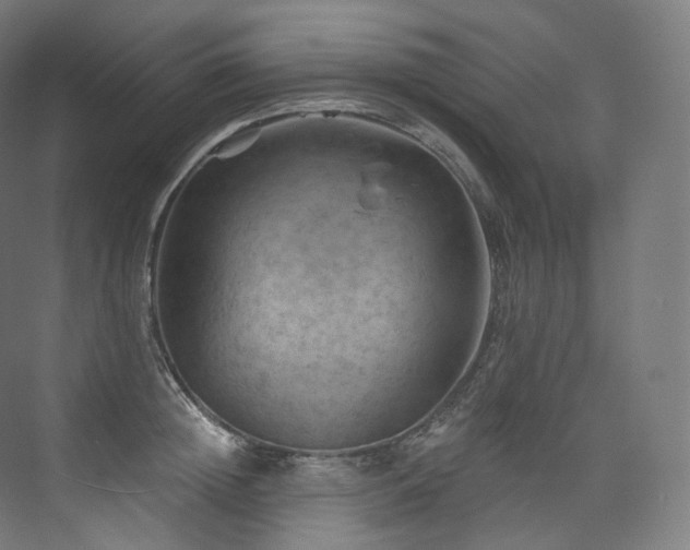 X0000074040852200608211516