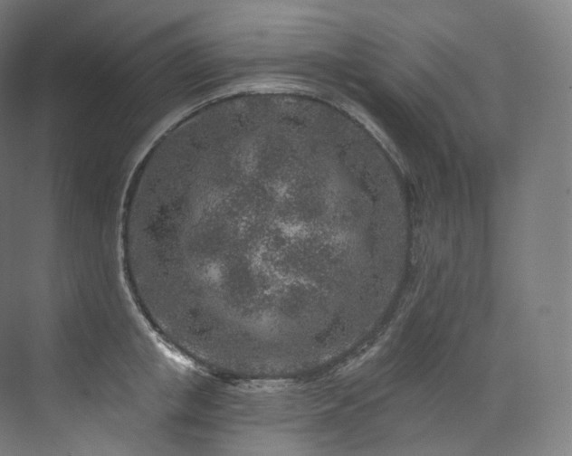 X0000074040853200608211516